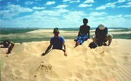 Sand, Sand, Grnes
