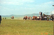 Reiten Zieleinlauf